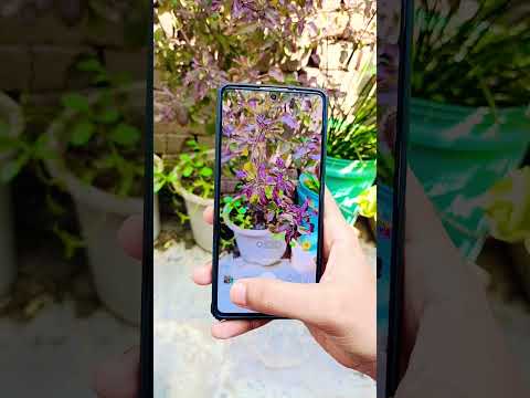 Poco m7 pro camera test #mobile #camera