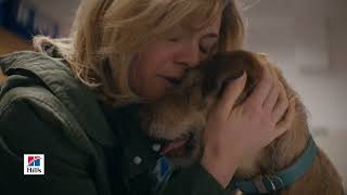 OfficialHillsPet humanos tenemos límites Para los amantes de los perros