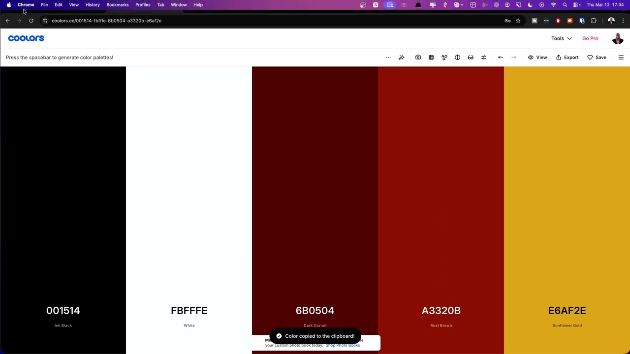 12 The Correct Way To Setup Colors
