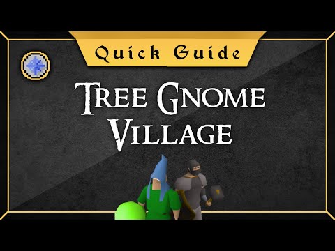 [Quick Guide] Tree Gnome Village