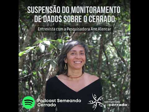 Suspensão do monitoramento do Cerrado – impactos e preocupações (Podcast Semeando)