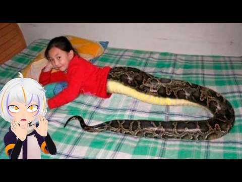 10 Personas Que Nacen Solo Una Vez Cada Mil Años | ChuyMine REACCIONA a BÚHO SABIO