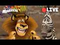 LIVE The Most Iconic Madagascar Moments EVER Madagascar 1 3 Movie Clips Animal Friends