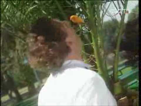 Endlich Dicht - DICHT saufen in freier Natur