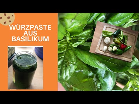 Würzpaste aus Basilikum für den Vorrat
