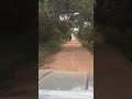 Yala Sri Lanka Tusker Gemunu