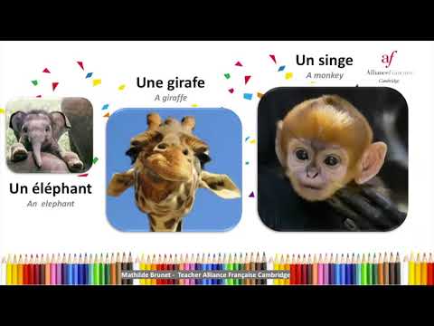 Carry on learning French with Mathilde at the Alliance Française Cambridge ! C'est parti !