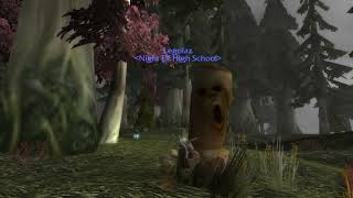 Elf Video 2019 September 2 4:15PM