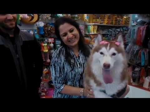 Dawgz Testimonial 13 - Rupika with Kyra