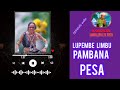 LUPEMBE LIMBU FT KITINDI PESA BT OFFICIAL AUDIO 2025 MSAMBAZAJI SENGELEMA TV 128k