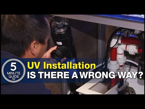 How to plumb a UV Sterilizer, set the right flow rate and avoid UV mistakes.