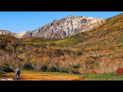 1980 年のカトマイ山のカルデラの上空からの眺め。