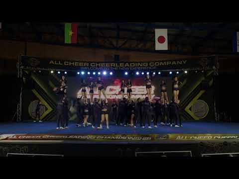 101 NPC OPEN COED N5   ALL CHEER CHAMPIONSHIP 2022