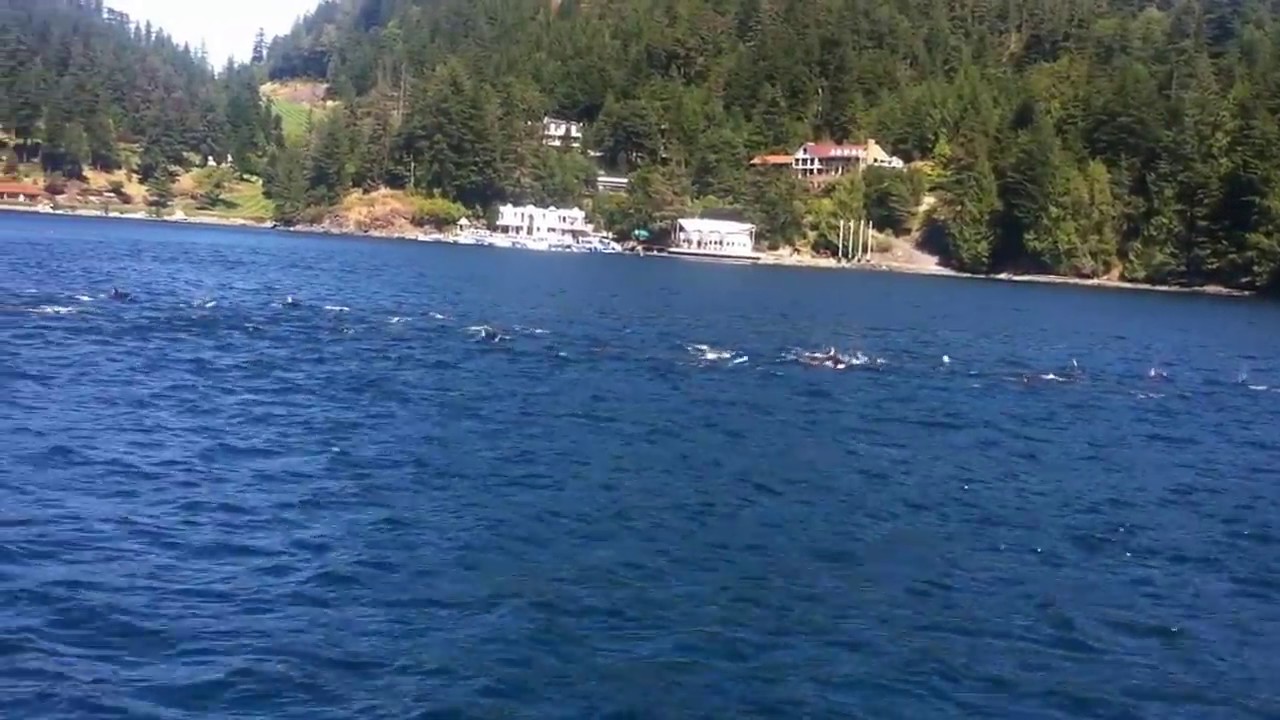 Cruising through Cordero Channel