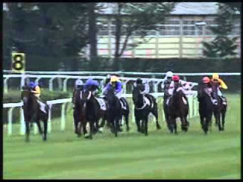 Premio St. Leger Italiano 2011 (GR 3)