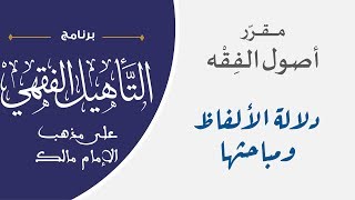 04 دلالة الألفاظ ومباحثها || مقرر أصول الفقه || نايف آل مبارك image