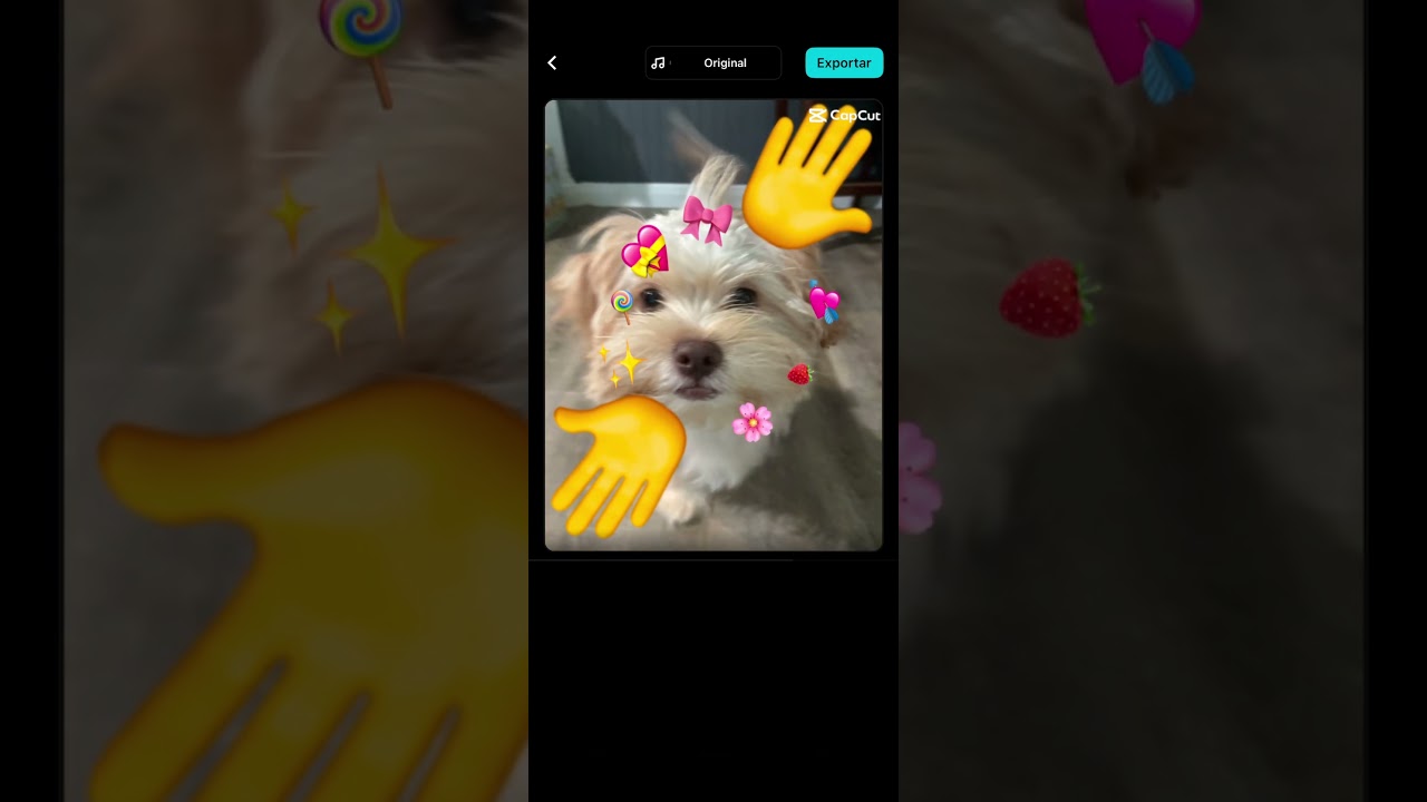 Brunito 💝💖💞