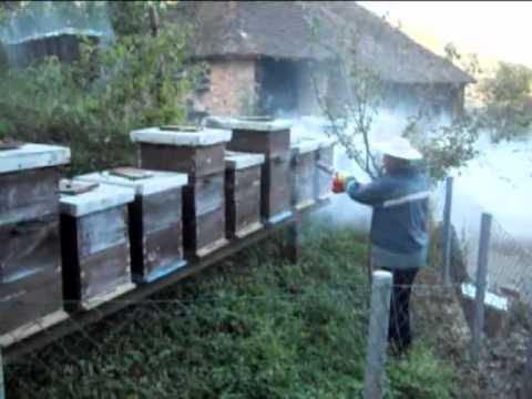 Dimni top protiv varoe