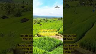 Download lagu 📍 Persawahan Jatiluwih, Tabanan, Bali #sejarah #nusantara #bali #subak #sawah mp3