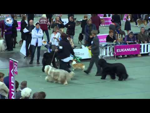 NKK Hamar 17.10.2015