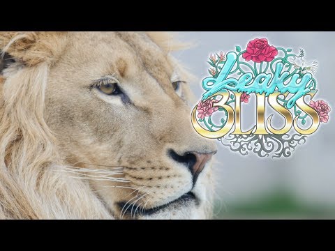 Thomas Jack - The Final Speech (Charlie Chaplin with LeakyBliss Video)