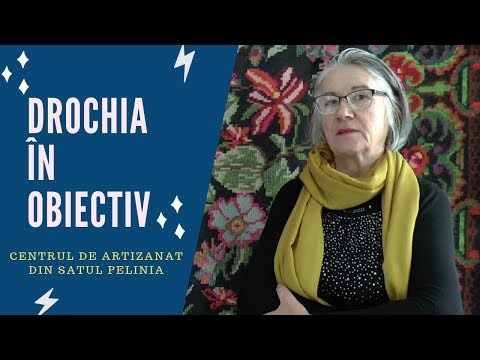 Zestrea Drochiei din satul Pelinia