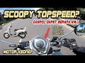Gimana Kalo Scoopy 2021 Dibawa GASPOLL Dapet TopSpeed Berapa Top Speed Scoopy ADB Mtblue