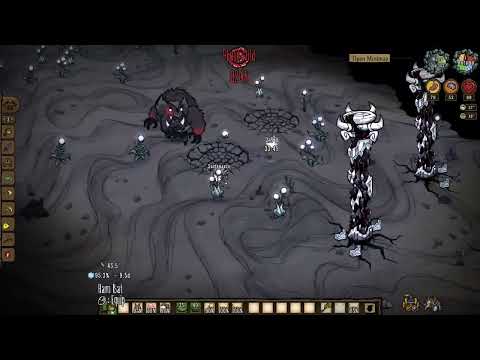 DST - Fighting the Nightmare Werepig