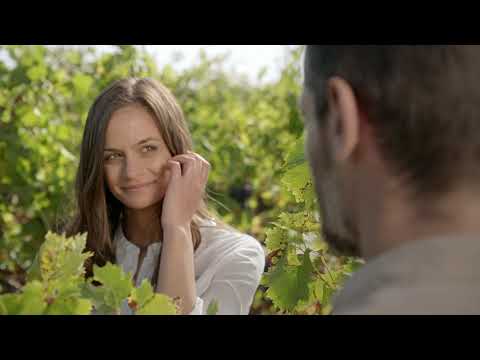 Domeniile Averesti - Busuioaca de Bohotin