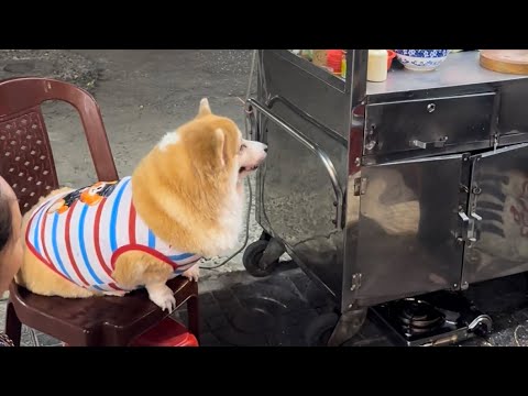 Tập 2 : eovi quá báo