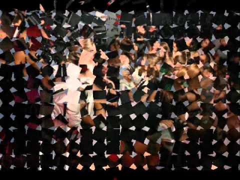 Les Elephants Bizarres - Have No Fear ( Fan Video )