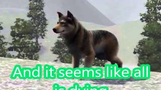 The Last Unicorn Declan Galbraith Lyrics/The Last Unicorn Declan Galbraith Testo