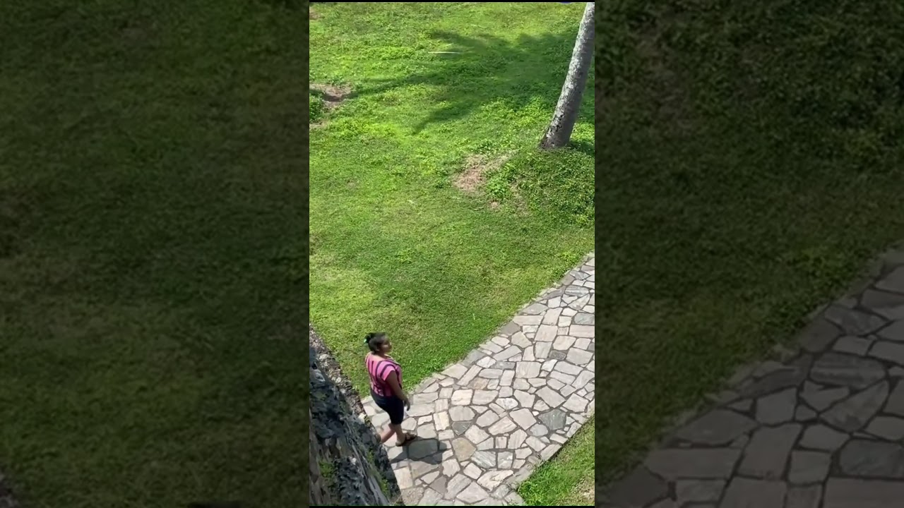 YouTube Short thumbnail