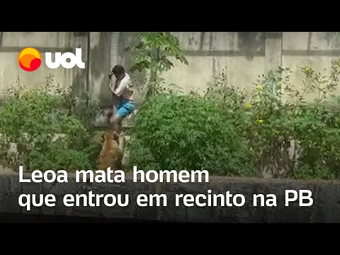 Homem é morto por leoa após invadir seu recinto em parque de João Pessoa; veja vídeo