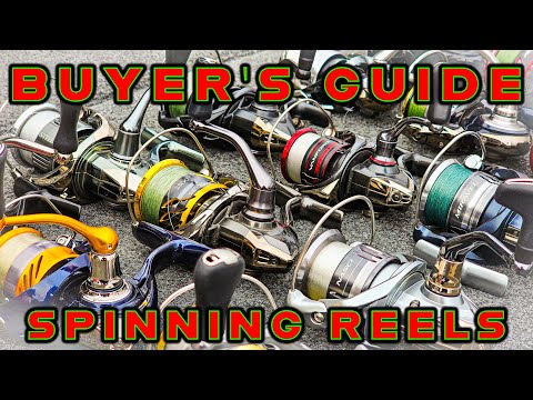 Watch BUYER'S GUIDE: BEST SPINNING REELS (Budget To Enthusiast) Video on
