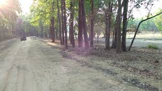 preview picture of video 'ARVIND GOP GUIDE kanha national park 8719067355(6)'