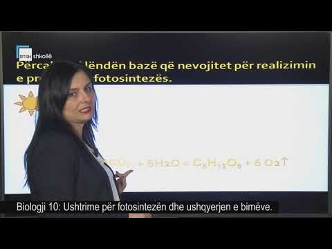 Biologji 10 -  Ushtrime për fotosintezën dhe ushqyerjen e bimëve