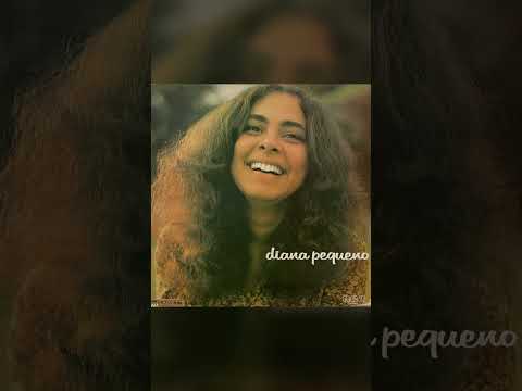 Blowin In The Wind - Diana Pequeno