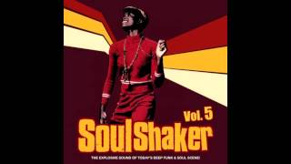 Sharon Jones &amp; The Dap Kings - Keep On Looking [Kenny Dope Rmx]  LP (Disco de Vinil)