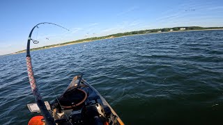 Sunrise Hits On Striped Bass + Everything Eating Sand Eels At Dusk