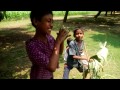 Besh Korechi Prem Korechi Title Track Mp4