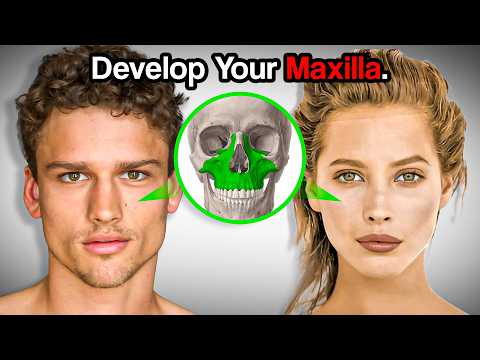 This Bone Determines Your Attractiveness | Full Guide