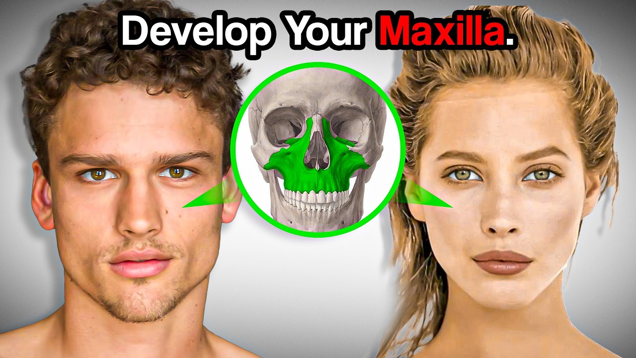 This Bone Determines Your Attractiveness | Full Guide