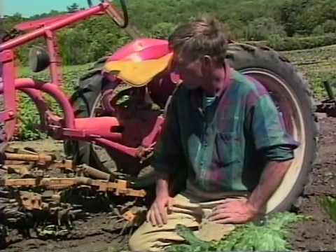 How to Use a Disc Harrow Model 300