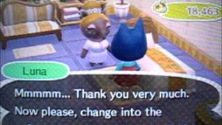 Animal crossing new leaf Dream suite