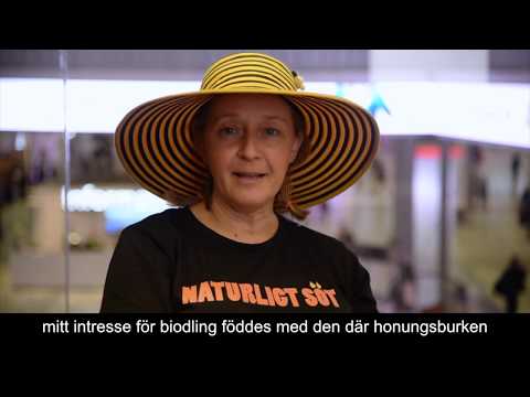 Vilken honung är "vanlig" honung? En film om sorthonung och smaker