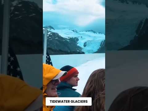 Thumbnail for Is This The Most EPIC Family Cruise You'll Ever Take?