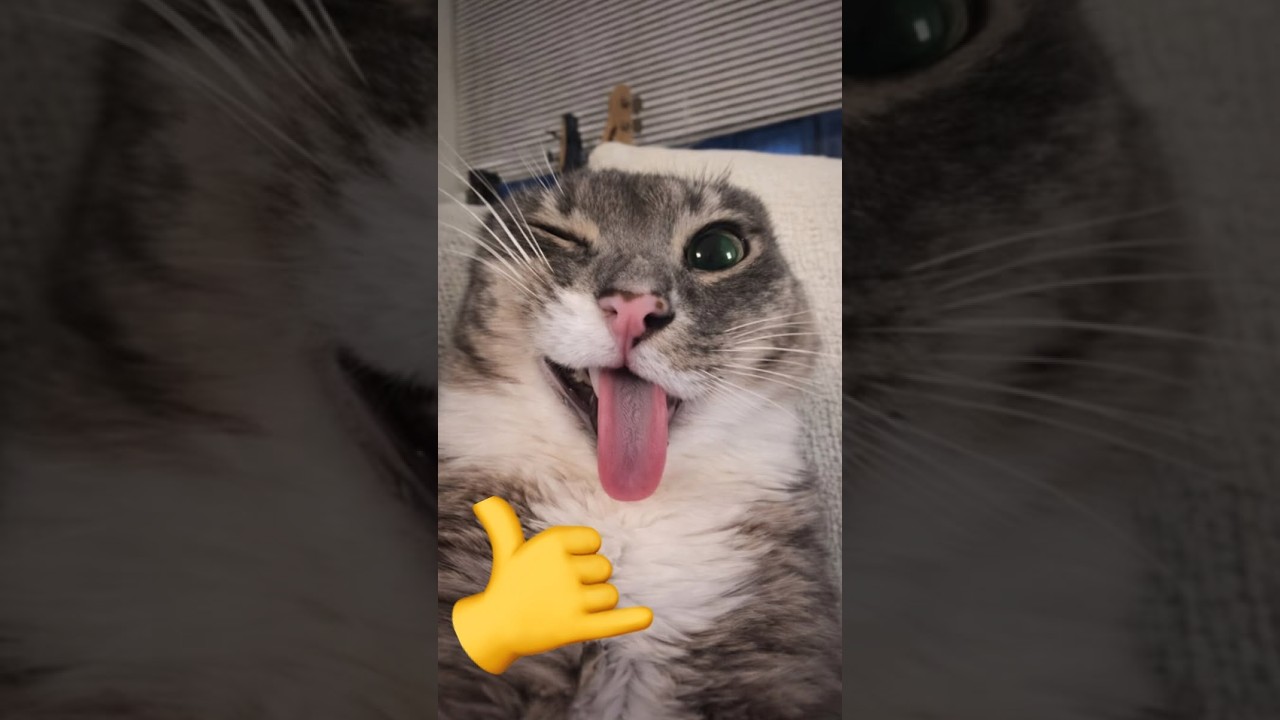 😱UNRETIRING! BACK TO CR! 💪🏻 - 🎖️Triple Draft: Road To 2,000 x3 accounts! +🎖️Ranked: Road To... TILT?