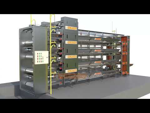 Egg Production Equipment | Automatic H-Type 4 Tier Poultry Battery Cage For Layers (3D Design)