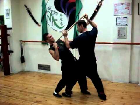 CHOW GAR MANTIS ITALIAN ACADEMY - Walking Stick 2